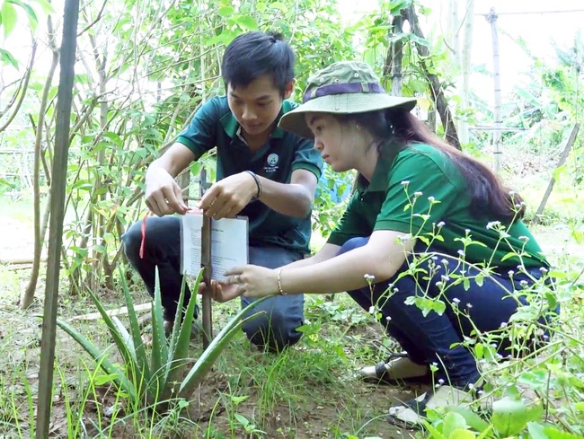 Giơ điện thoại là... biết tên cây - Ảnh 1.