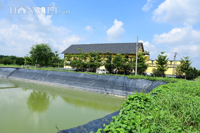 Vụ thanh tra Công ty cổ phần Vinamit,Thủ tướng Chính phủ chỉ đạo phải “bảo đảm khách quan” - Ảnh 4.