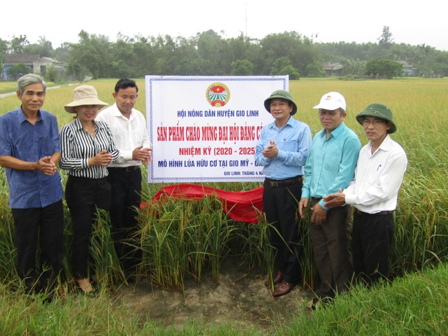 Hội Nông dân và ngân hàng bắt tay giúp nông dân phát triển kinh tế - Ảnh 1.