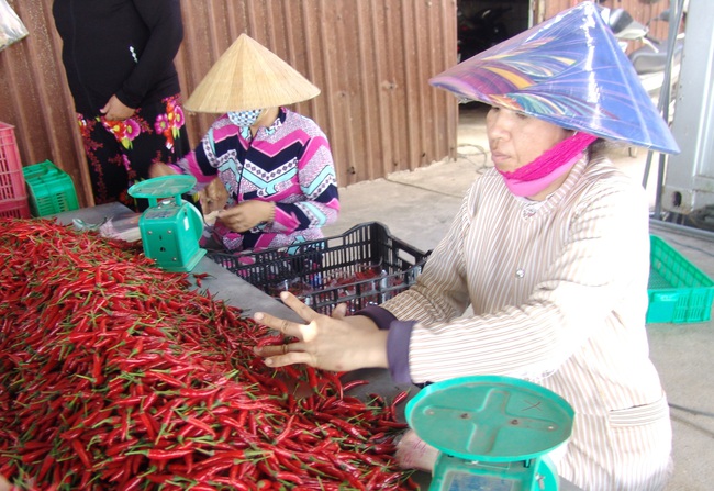 Thí điểm xây công trình phụ trên đất nông nghiệp - Ảnh 1.