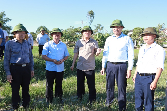 Bộ NN&PTNT: Bàn giải pháp phòng chống thiên tai tại khu vực Bắc Trung bộ   - Ảnh 1.