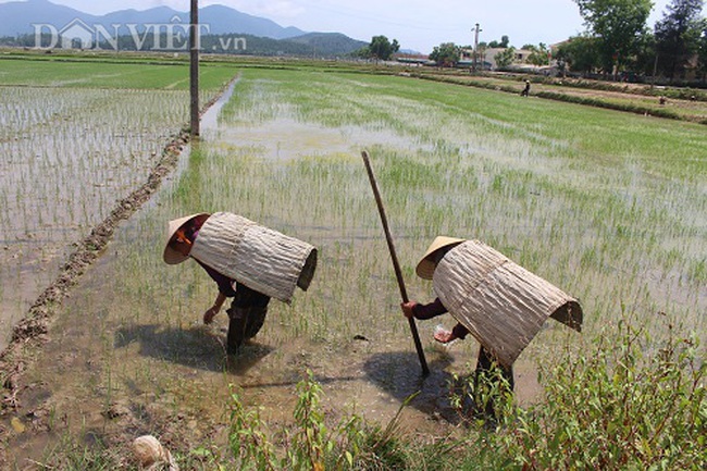 Vật dụng giúp nông dân chống lại nắng nóng gay gắt khi ra đồng - Ảnh 5.