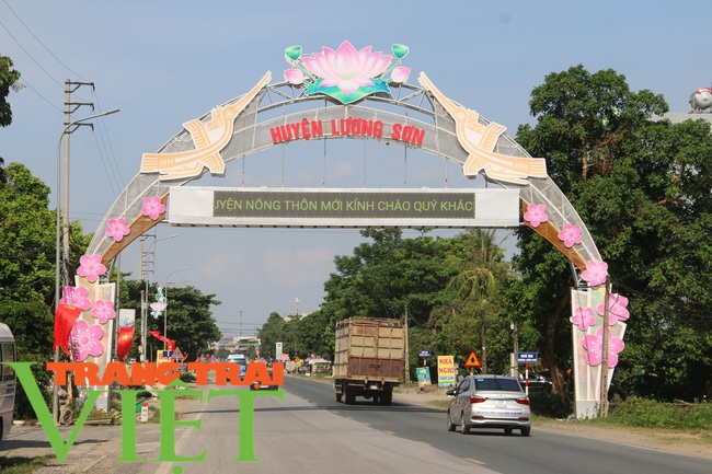 Hoà Bình: Công bố huyện Lương Sơn đạt chuẩn nông thôn mới - Ảnh 2.