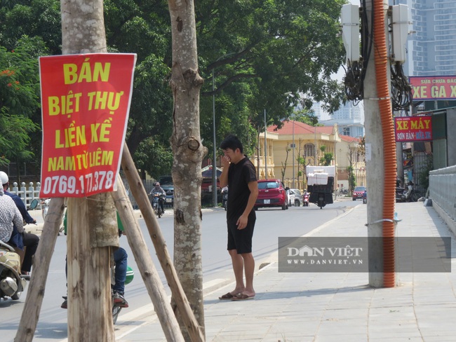 Hà Nội: Nguy hiểm rình rập từ gần 100 cây xanh &quot;đột tử trên đường Sa đôi - Ảnh 7.