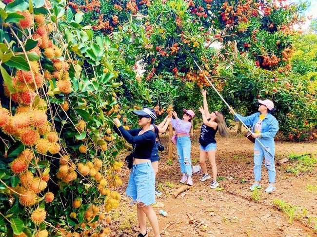 Trái cây “vượt rào” vào siêu thị, chuỗi cửa hàng - Ảnh 1.