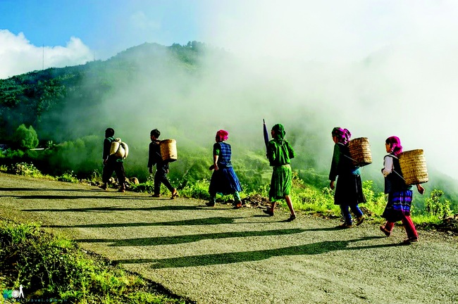 Phương Độ và “đòn bẩy” du lịch cộng đồng - Ảnh 1.