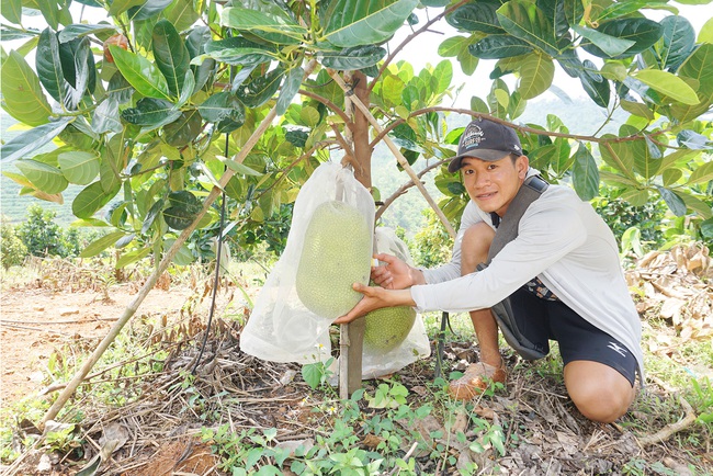 Dự án nông nghiệp triệu đô của 2 gã “tay ngang” - Ảnh 1.