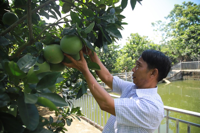 Ngọc Đường phát huy dân chủ thế nào để xây dựng nông thôn mới thành công? - Ảnh 1.