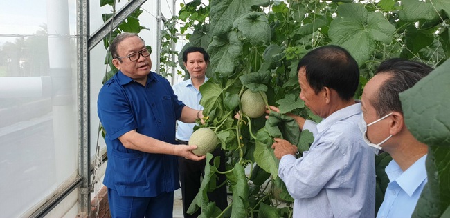 Chủ tịch Hội NDVN Thào Xuân Sùng: Hỗ trợ mạnh giúp nông dân chuyển đổi sản xuất hiệu quả - Ảnh 1.