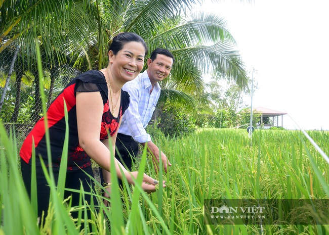 Kiên Giang: Nuôi heo theo kiểu “không giống ai” mà thu lãi 200 triệu đồng/năm - Ảnh 3.