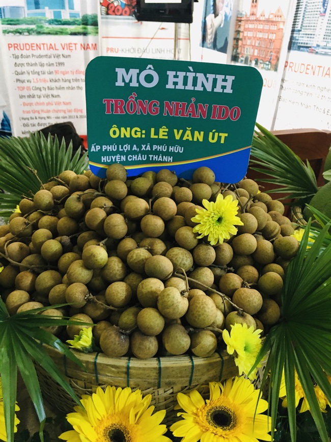 Hậu Giang có 1.313 hộ thu nhập “khủng” từ 500 triệu đồng trở lên - Ảnh 15.