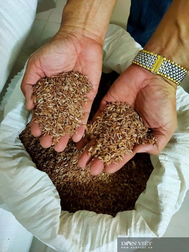Công an thông tin vụ mua 10 tấn gạo từ thiện, bị tráo hàng chất lượng kém - Ảnh 3.