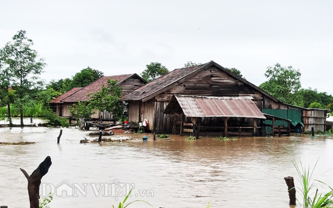 Đắk Lắk: Một huyện mất gần 7 tỷ đồng do trận mưa kéo dài nửa ngày - Ảnh 3.