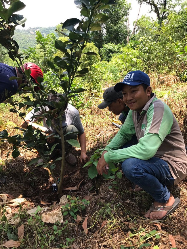 Nông dân Tri Tôn thu “trái ngọt” trên đất bazan - Ảnh 1.