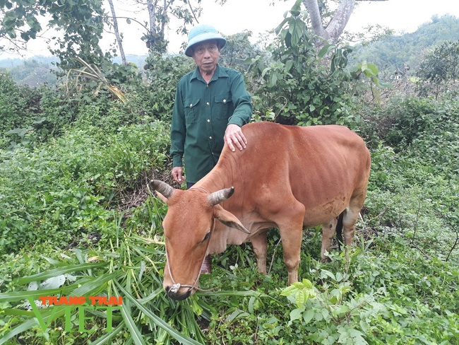 Cách làm nông thôn mới ở huyện nghèo Nậm Nhùn - Ảnh 2.