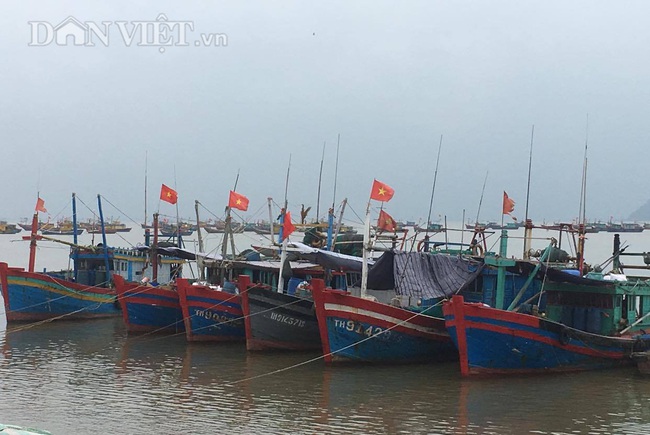 Thanh Hóa: 7.062 tàu thuyền đã vào bờ tránh bão số 2 Sinlaku - Ảnh 1.