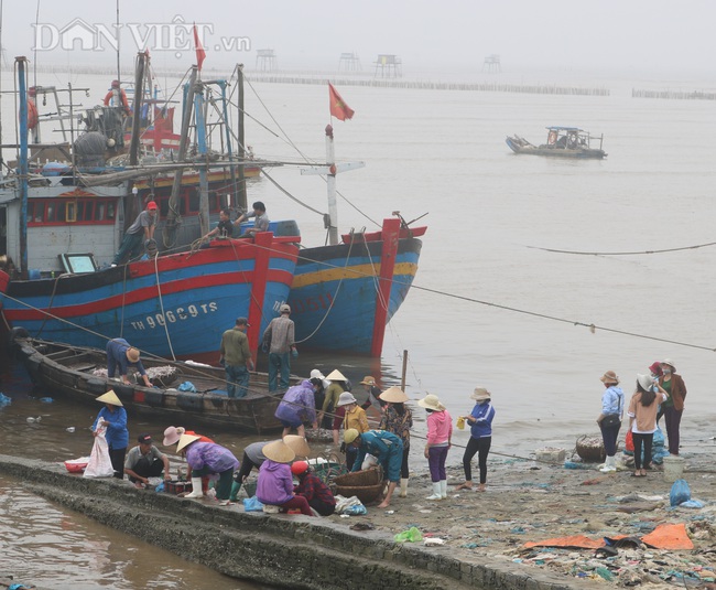 Thanh Hóa: 7.062 tàu thuyền đã vào bờ tránh bão số 2 Sinlaku - Ảnh 3.