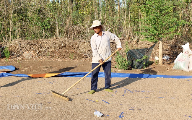 “Điểm tựa” cho nông nghiệp hữu cơ bứt phá (bài 2): Lấy lại niềm tin bị “đánh cắp” - Ảnh 1.