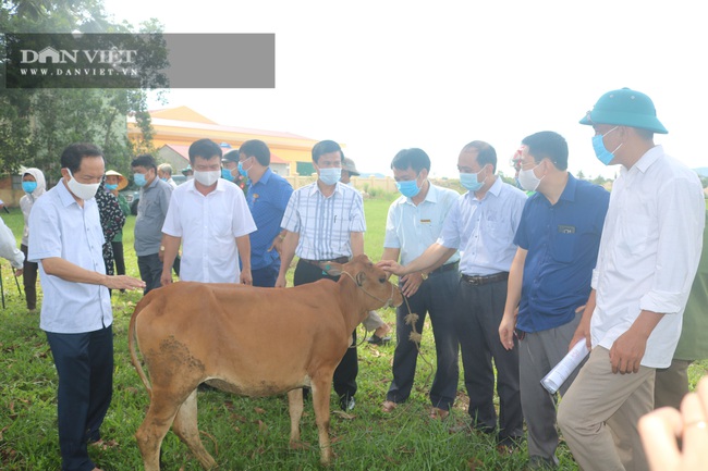 Hội Nông dân tỉnh Thanh Hóa: Trao 42 con bò cái cho hộ nghèo, cận nghèo - Ảnh 1.