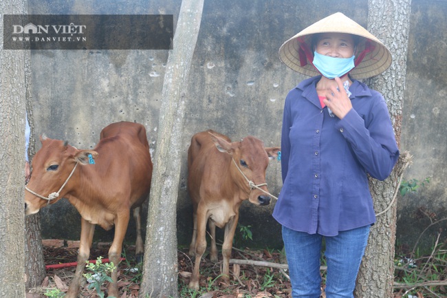 Hội Nông dân tỉnh Thanh Hóa: Trao 42 con bò cái cho hộ nghèo, cận nghèo - Ảnh 2.