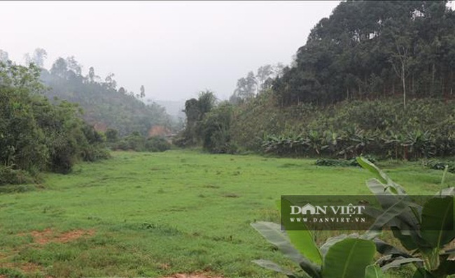 Yên Bái: Cty Minh Đức liên tiếp để xảy ra sự cố người dân sống trong sợ hãi - Ảnh 7.