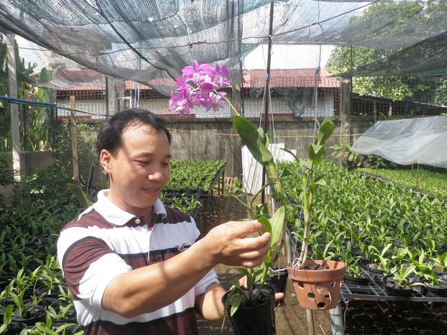 Chuyển nông thôn mới thành đô thị văn minh - Ảnh 1.