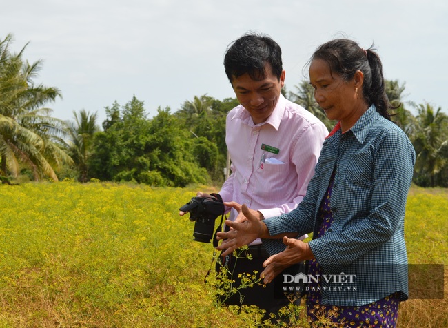 Gặp những “siêu nông dân” của xứ Công tử Bạc Liêu - Ảnh 5.