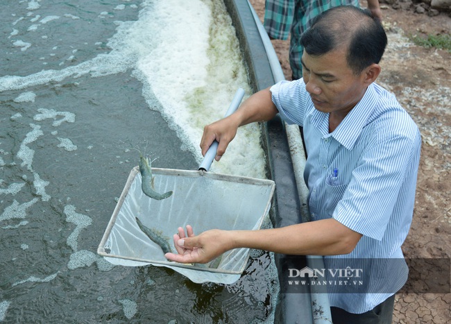 Gặp những “siêu nông dân” của xứ Công tử Bạc Liêu - Ảnh 2.