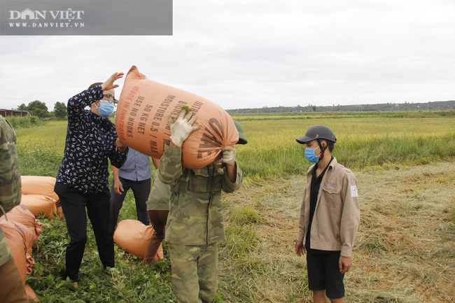 Quảng Trị: Nhiều người ra đồng thu hoạch lúa giúp người dân vùng phong toả - Ảnh 4.