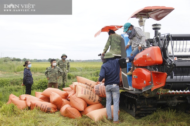 Quảng Trị: Nông dân, phụ nữ, học sinh, sinh viên ra đồng thu hoạch lúa giúp người dân vùng phong toả - Ảnh 1.