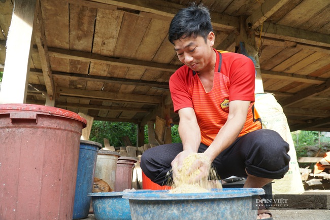 Trai bản nuôi gà + trồng ổi bằng &quot;tuyệt chiêu&quot; này, gà đẹp như tranh, ổi ngọt thơm bán chạy - Ảnh 3.