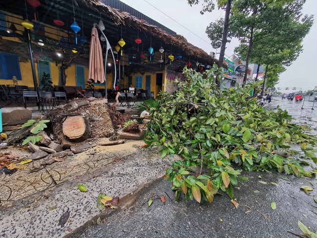 Gió mạnh trong cơn mưa lớn ở Cần Thơ: Tốc mái 6 căn nhà, nhiều cây xanh đổ ngã - Ảnh 2.