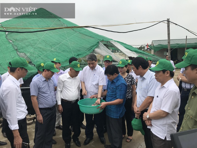 Thanh Hóa: Gần 800 doanh nghiệp nông nghiệp chuyển mình theo hướng công nghệ cao - Ảnh 3.