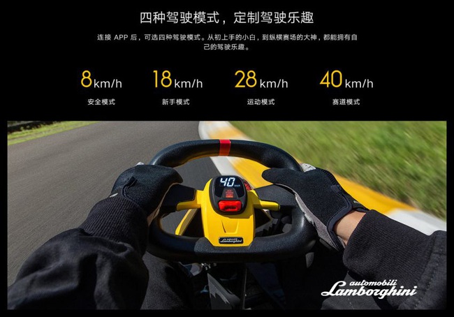 Phát sốt với chiếc xe điện mini diện mạo “siêu xe Lamborghini” - Ảnh 2.
