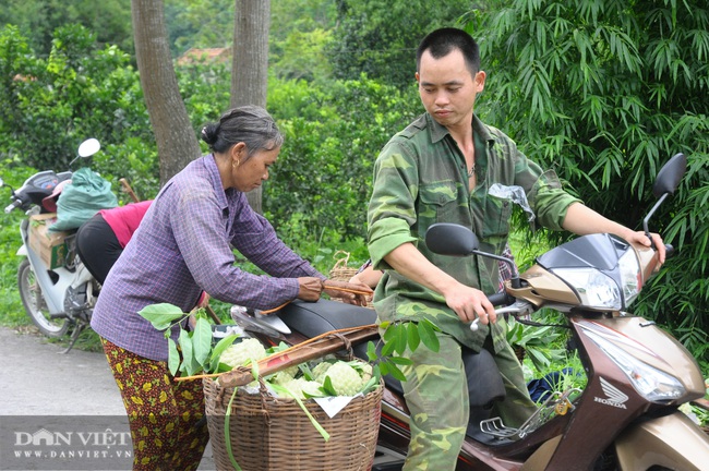 Lạng Sơn: Kết nối tiêu thụ sản phẩm Na Chi Lăng và các sản phẩm OCOP - Ảnh 1.