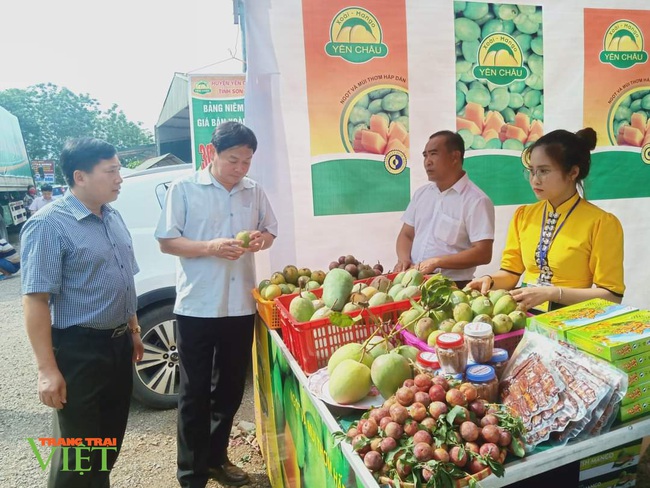 Sơn La: Đất dốc xanh màu cây ăn quả - Ảnh 3.