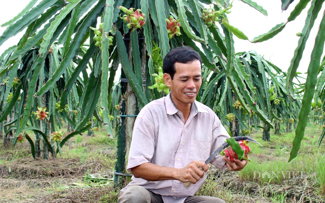 Liên kết tiêu thụ với DN để tự cứu mình - Ảnh 1.