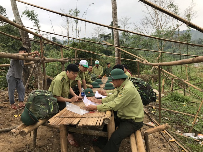 Quảng Nam thực hiện chính sách dịch vụ môi trường rừng: Rừng thêm yên, người dân thêm no ấm  - Ảnh 1.