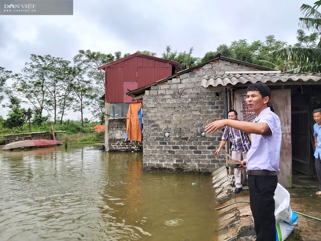 Thả cá trong ruộng lúa, nông dân lãi trăm triệu đồng/vụ - Ảnh 2.