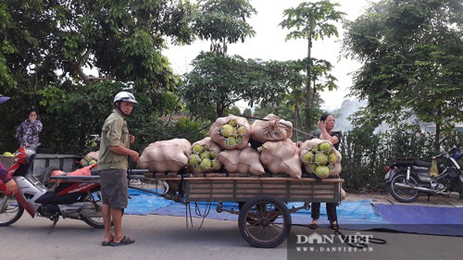 Hà Tĩnh: Những phiên chợ đặc biệt chỉ bán duy nhất một thứ - Ảnh 2.