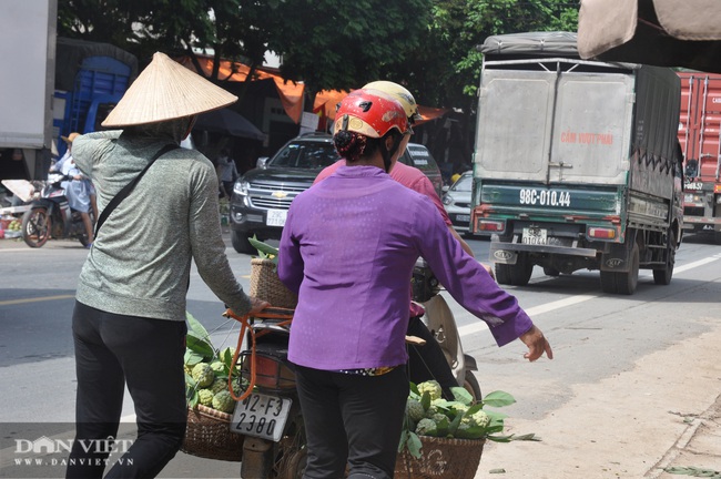 Lạng Sơn: Nhộn nhịp ở chợ Na lớn nhất nước - Ảnh 4.