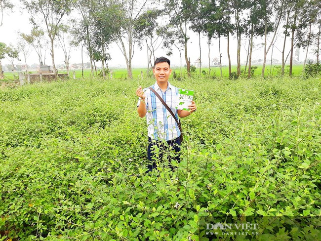 Vợ chồng trẻ “treo” bằng Cao đẳng về quê trồng cây có gai, thu lãi hàng trăm triệu - Ảnh 1.