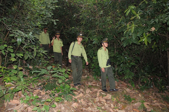 Quảng Nam thực hiện chính sách dịch vụ môi trường rừng: Rừng thêm yên, người dân thêm no ấm  - Ảnh 3.