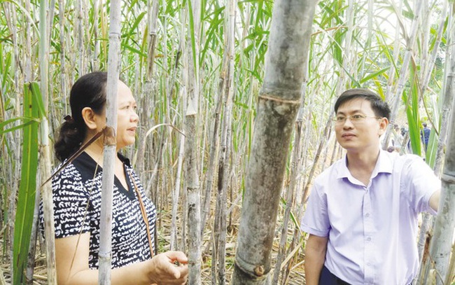 Tuyên Quang: Đột phá xây dựng nông thôn mới từ các mô hình điểm dạy nghề - Ảnh 1.
