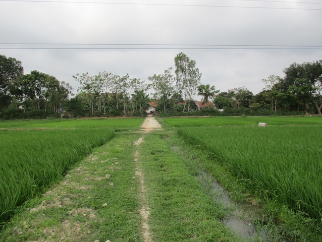 Nguyệt Lãng - làng tôi  - Ảnh 3.