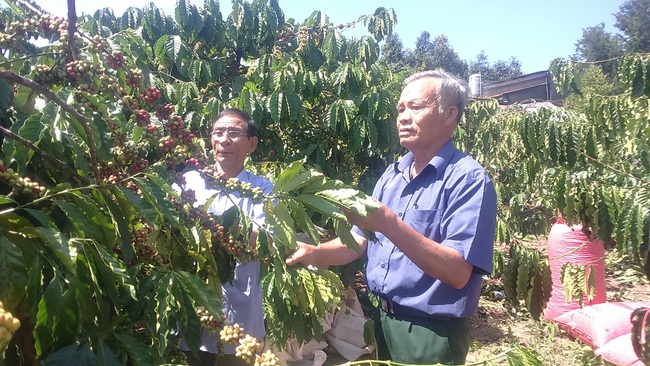 Những mối tình đi qua chiến tranh - Ảnh 1.