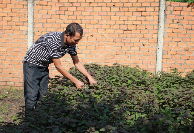 Nhanh chóng thoát nghèo nhờ nguồn vốn ưu đãi - Ảnh 1.