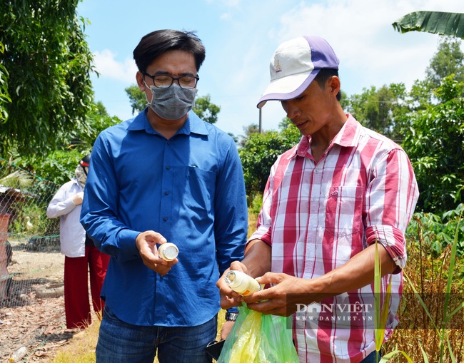 Vụ phun thuốc diệt cỏ, diệt cả... lúa: Tiến hành làm đối chứng nếu mẫu thuốc đạt chất lượng - Ảnh 2.