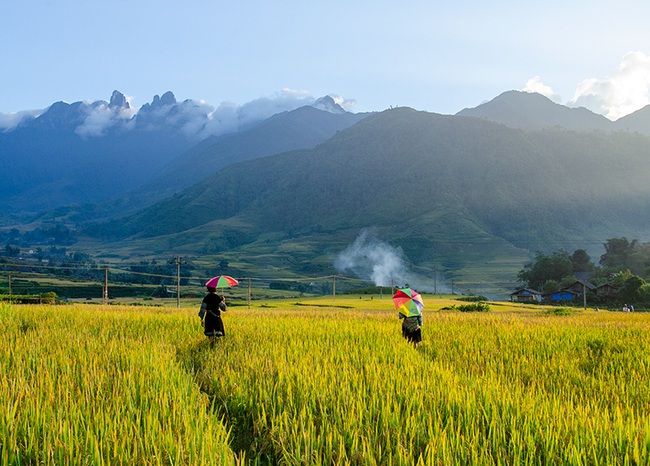 Lào Cai: Không ngờ chân núi Ngũ Chỉ Sơn lại có ruộng bậc thang đẹp mê mẩn thế này  - Ảnh 3.