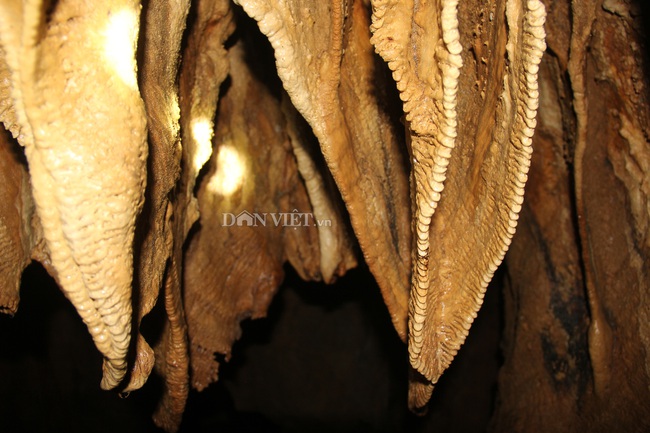 Quảng Trị: Phát hiện hang động mới, đẹp lung linh ở thôn Trỉa - Ảnh 13.